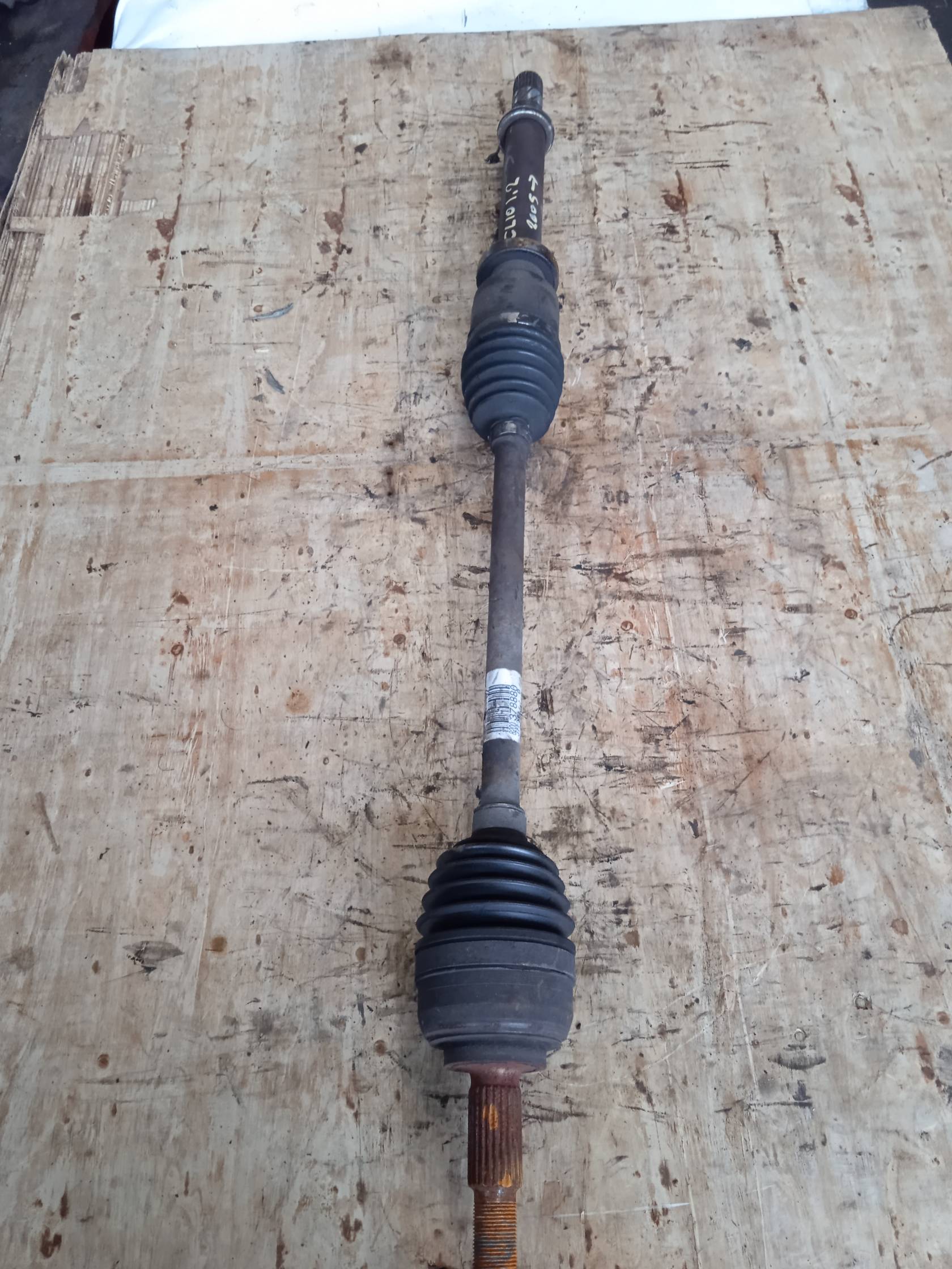 Semialbero ant. compl. dx. Semialbero ant. compl. dx.